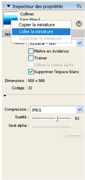 ADOBE DIRECTOR 11.5 - Création de miniatures d'acteurs personnalisées - 1
