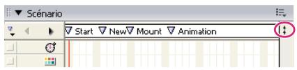 ADOBE DIRECTOR 11.5 - Affichage et masquage des pistes d'effets - 1
