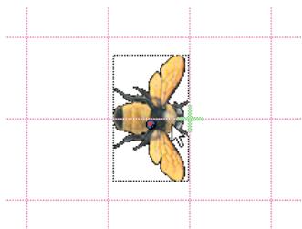 ADOBE DIRECTOR 11.5 - Afficher une grille et aligner les images-objets - 1
