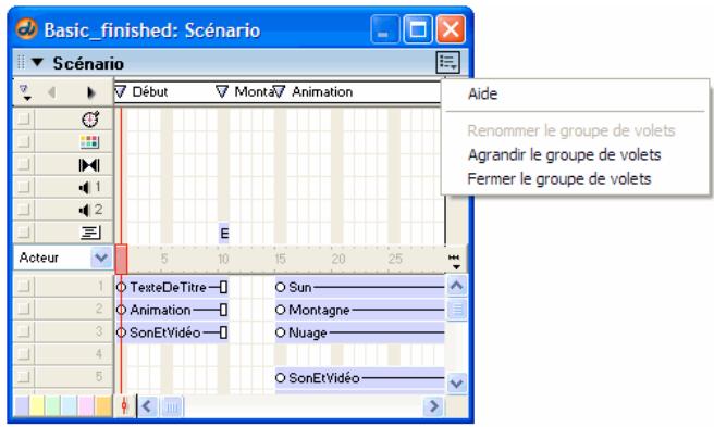ADOBE DIRECTOR 11.5 - Fermer un groupe de panneaux - 1