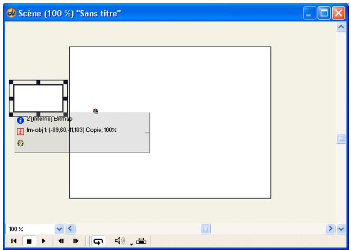 ADOBE DIRECTOR 11.5 - Associer le comportement Cible - 1