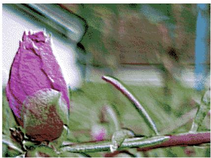 ADOBE DIRECTOR 11.5 - Filtre Matrice de convolution - 1