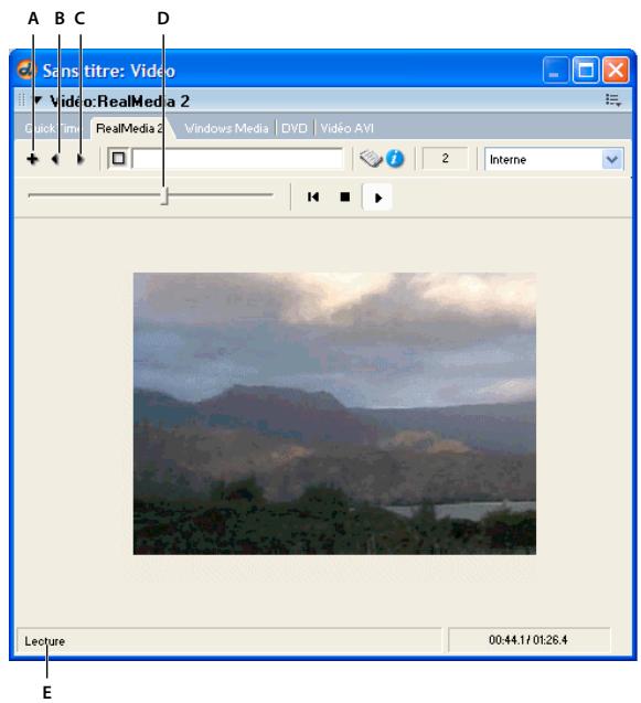 ADOBE DIRECTOR 11.5 - La fenêtre RealMedia - 1