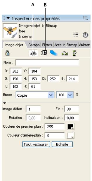 ADOBE DIRECTOR 11.5 - Rendre une image-objet modifiable - 1
