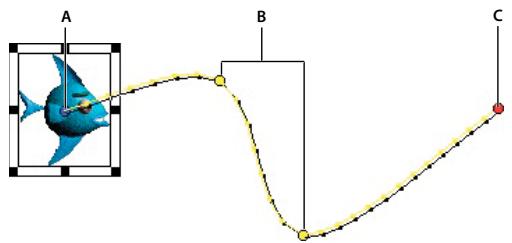 ADOBE DIRECTOR 11.5 - A propos de l'interpolation dans Director - 2