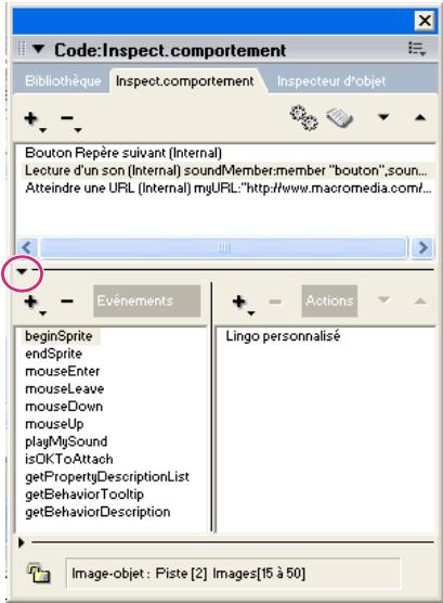ADOBE DIRECTOR 11.5 - Création et modification de comportements - 1