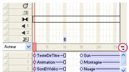 ADOBE DIRECTOR 11.5 - Modification de l'affichage du scénario - 1