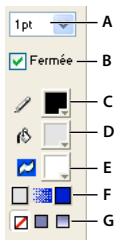 ADOBE DIRECTOR 11.5 - Choix des paramètres de remplissage et de trait des formes vectorielles - 1