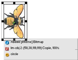 ADOBE DIRECTOR 11.5 - Modifier l'opacité du panneau Infos d'image-objet sur la scène - 1