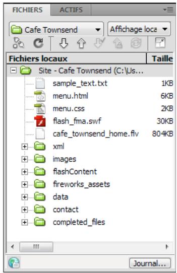 ADOBE DREAMWEAVER CS5.5 - Présentation du panneau Fichiers - 1