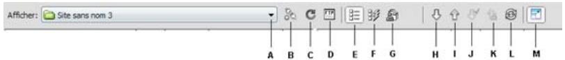 ADOBE DREAMWEAVER CS5.5 - Utilisation du panneau Fichiers - 1