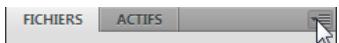 ADOBE DREAMWEAVER CS5.5 - Recherche et sélection des fichiers extraits dans un site Dreamweaver - 1