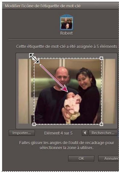ADOBE ELEMENTS ORGANIZER 9 - Modification de l'icone d'une étiquette de mot-clé - 1
