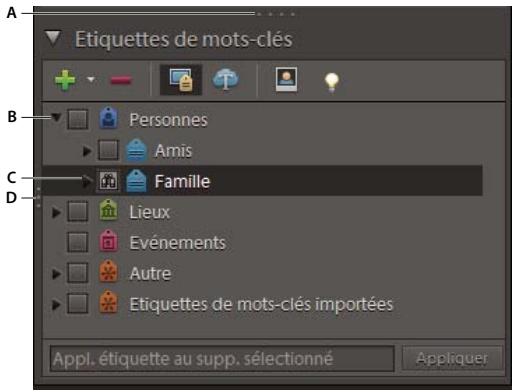 ADOBE ELEMENTS ORGANIZER 9 - Utilisation des panneaux de l'onglet Organiser - 1