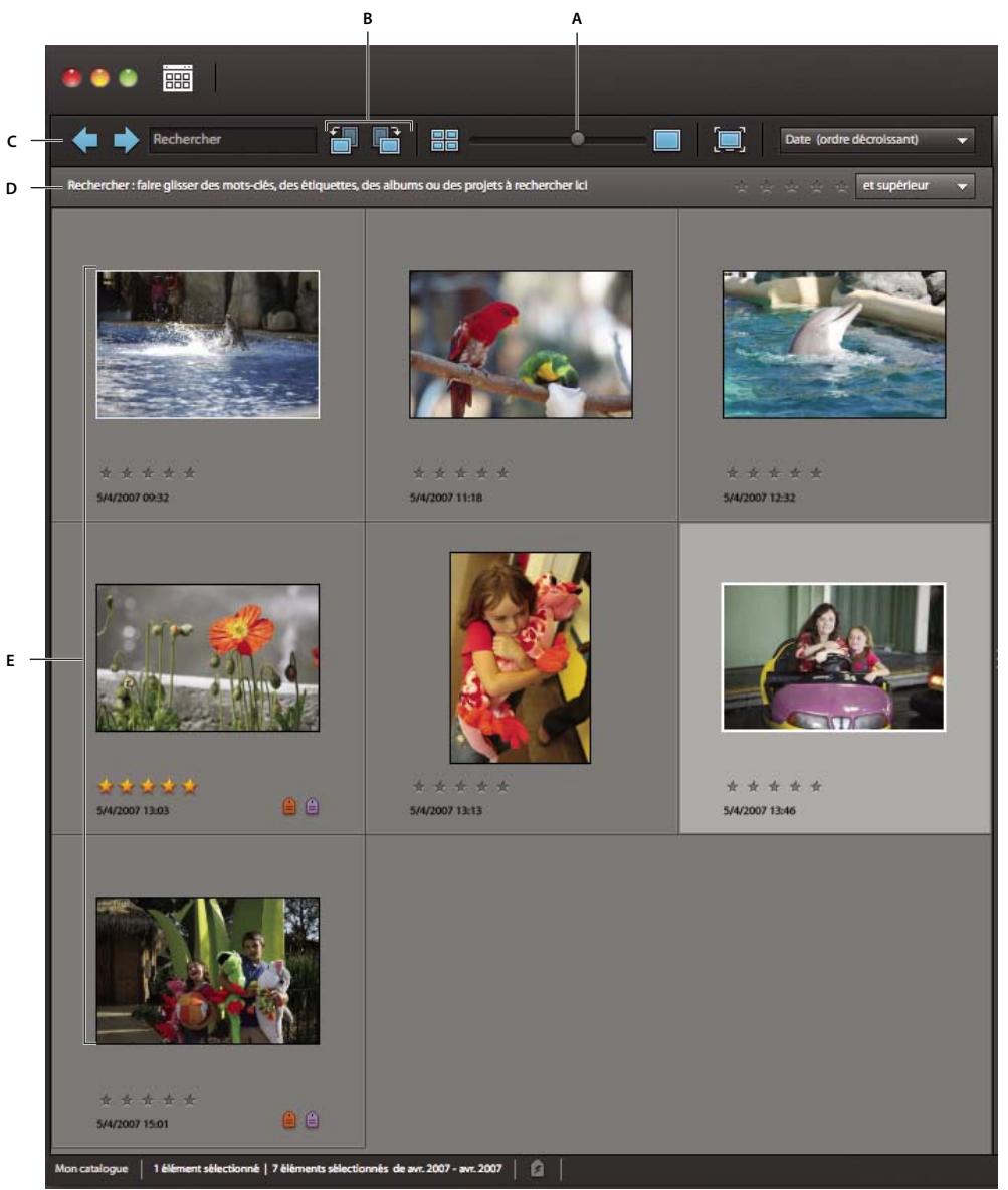 ADOBE ELEMENTS ORGANIZER 9 - A propos du navigateur de supports - 2