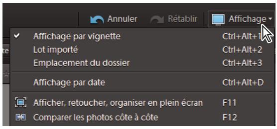 ADOBE ELEMENTS ORGANIZER 9 - Selection d'un mode d'affichage du navigateur de supports - 1