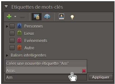 ADOBE ELEMENTS ORGANIZER 9 - Création, application et suppression rapides d'étiquettes - 1