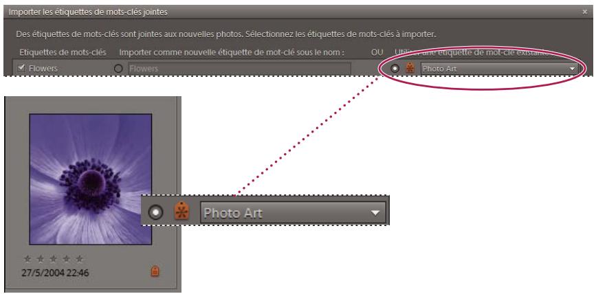 ADOBE ELEMENTS ORGANIZER 9 - Importation des étiquettes jointes à des fichiers de support - 1