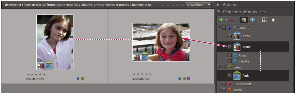 ADOBE ELEMENTS ORGANIZER 9 - Association d'étiquettes de mots-clés à des fichiers de support - 1
