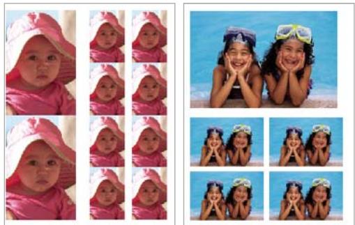 ADOBE ELEMENTS ORGANIZER 9 - Impression d'une collection d'images - 1