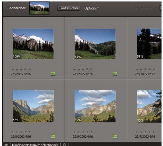 ADOBE ELEMENTS ORGANIZER 9 - Recherche de photos par similarité visuelle (Windows uniquement) - 2