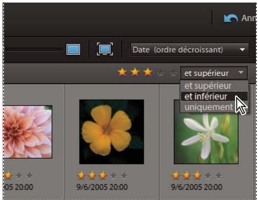 ADOBE ELEMENTS ORGANIZER 9 - Recherche des éléments associés à un nombre d'étoiles - 1