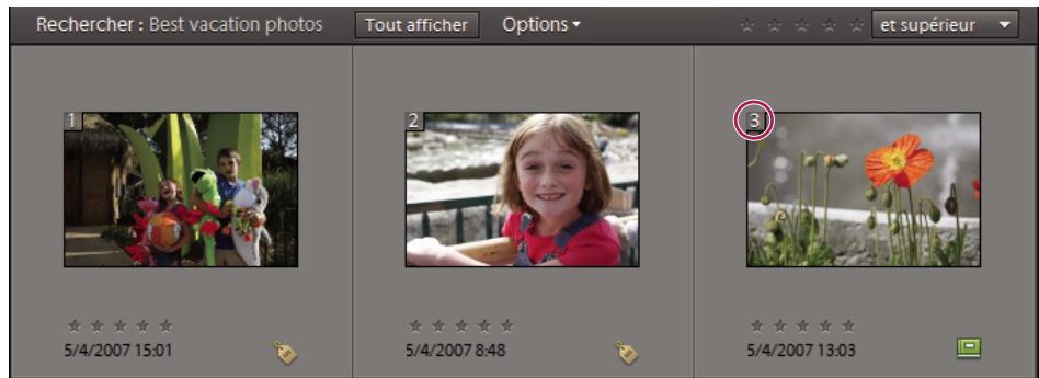 ADOBE ELEMENTS ORGANIZER 9 - Modification de l'ordre des éléments dans un album - 2