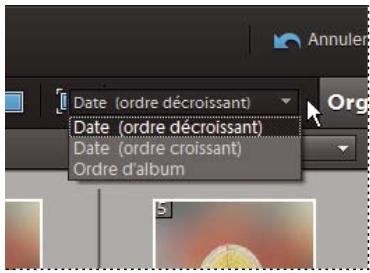 ADOBE ELEMENTS ORGANIZER 9 - Tri de fichiers dans le navigateur de supports - 1