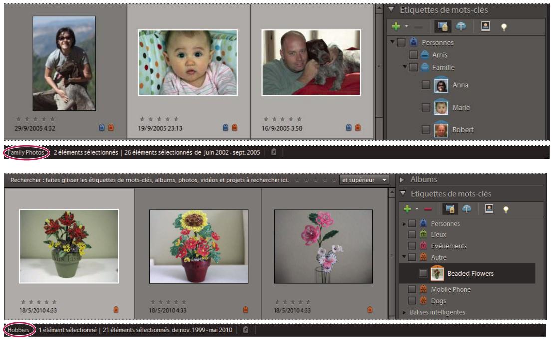 ADOBE ELEMENTS ORGANIZER 9 - A propos des catalogues - 2
