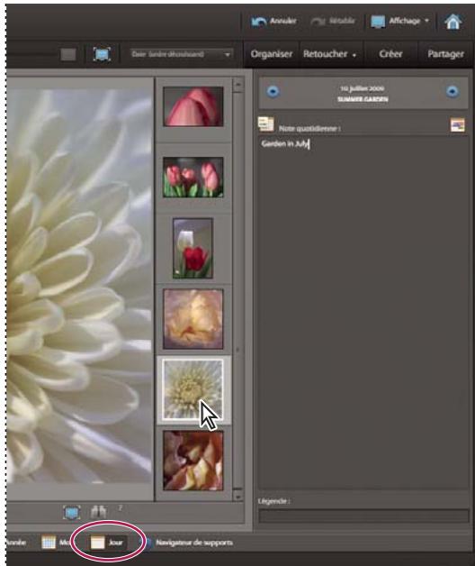ADOBE ELEMENTS ORGANIZER 9 - Modification des fichiers de supports affichés à une date donnée - 1