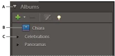 ADOBE ELEMENTS ORGANIZER 9 - A propos des albums dynamiques - 1