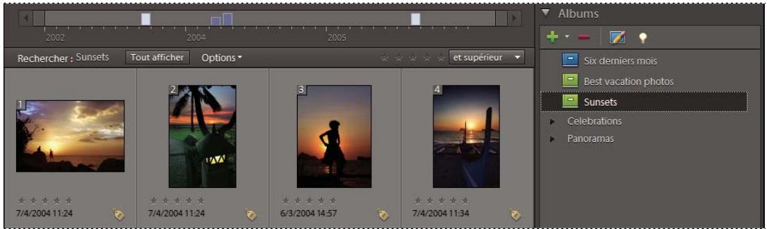 ADOBE ELEMENTS ORGANIZER 9 - Recherche de fichiers de support dans un album ou un album dynamique - 1