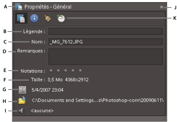 ADOBE ELEMENTS ORGANIZER 9 - Affichage ou modification des informations sur les fichiers dans Elements Organizer - 1