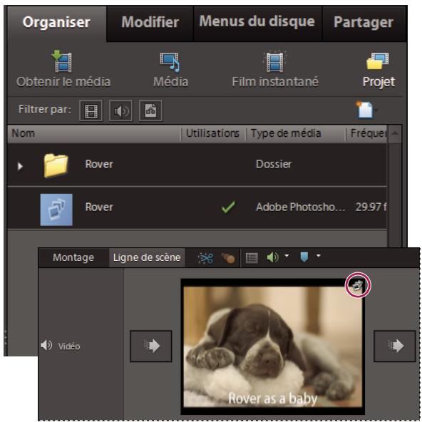 ADOBE ELEMENTS ORGANIZER 9 - Ajout de diaporamas Photoshop Elements à des projets video - 1