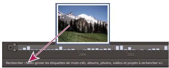 ADOBE ELEMENTS ORGANIZER 9 - Recherche de photos par similarité visuelle (Windows uniquement) - 1