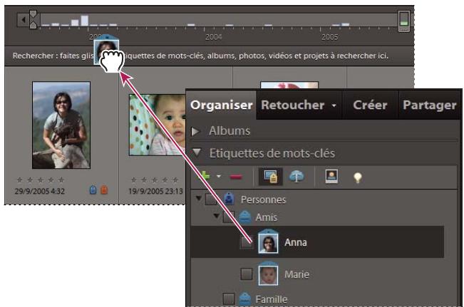 ADOBE ELEMENTS ORGANIZER 9 - Recherche depuis la barre de recherche - 1