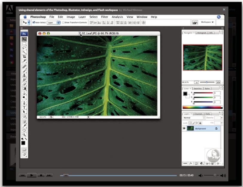 ADOBE ENCORE CS3 - Atelier video Adobe - 2