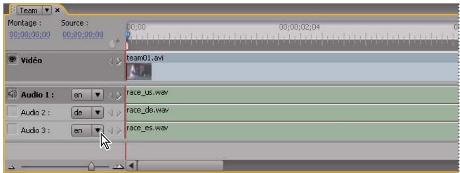 ADOBE ENCORE CS3 - A propos des pistes audio multiples - 1