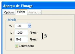 ADOBE FIREWORKS CS4 - Définition des dimensions des images exportées - 1