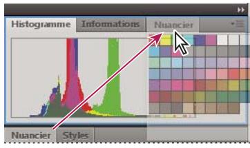 ADOBE FIREWORKS CS4 - Manipulation de groupes de panneaux - 1