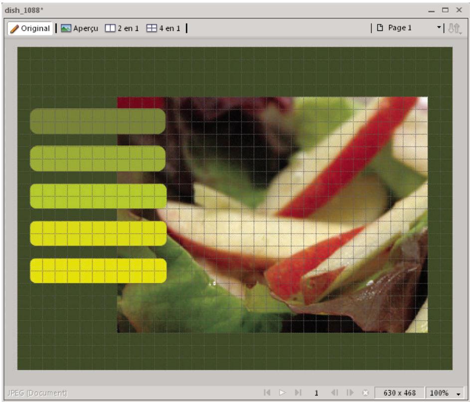 ADOBE FIREWORKS CS4 - Utilisation des règles, des repères et de la grille - 1