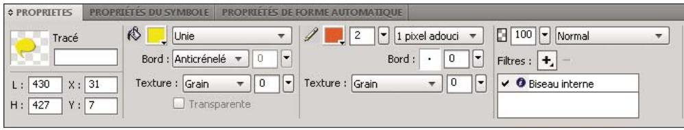 ADOBE FIREWORKS CS4 - Informations sur la selection dans l'inspecteur des propriétés - 1