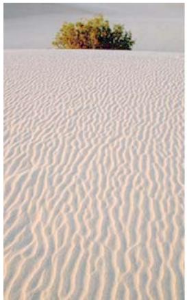ADOBE FIREWORKS CS4 - Réglage de la plage tonale des images bitmap - 1