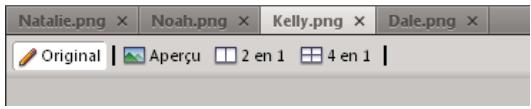 ADOBE FIREWORKS CS4 - Utilisation des ontlets pour sélectionner des documents - 1