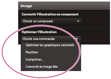 ADOBE FLASH CATALYST CS5.5 - Chapitre 15 : Optimisation des graphiques - 1