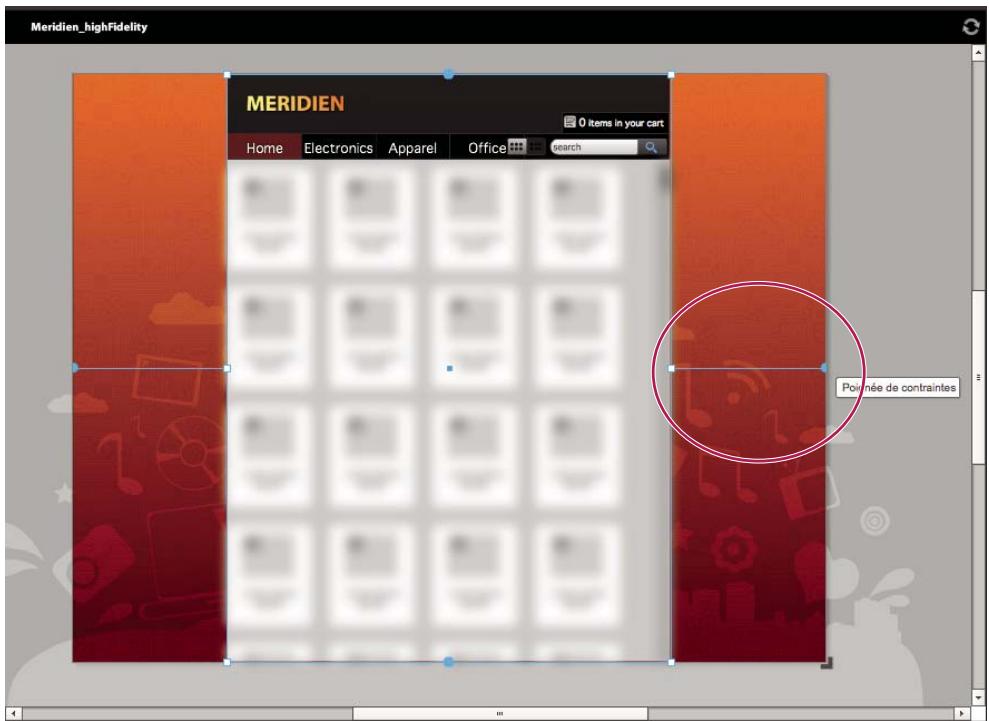 ADOBE FLASH CATALYST CS5.5 - Création de composants redimensionnables à l'aide de contraintes - 2