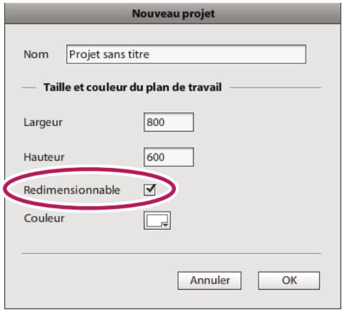 ADOBE FLASH CATALYST CS5.5 - Création d'un projet avec un plan de travail vierge : - 1