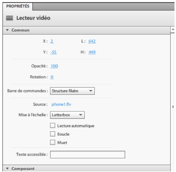 ADOBE FLASH CATALYST CS5.5 - Ajout d'une vidéo - 1