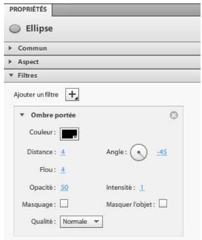 ADOBE FLASH CATALYST CS5.5 - Ajout de filtres - 1