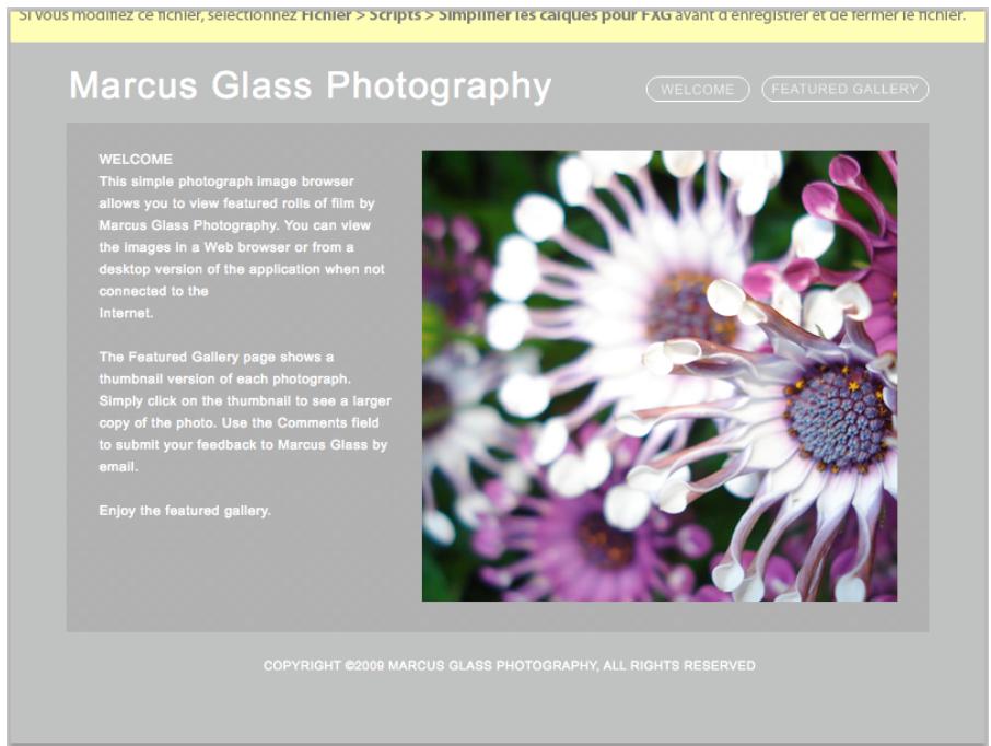 ADOBE FLASH CATALYST CS5.5 - Lancement et modification dans Adobe Photoshop - 1